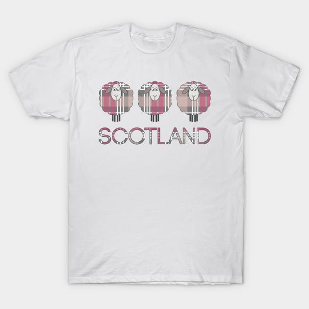 Trio of Scottish Pink, White and Grey Tartan Patterned Sheep T-Shirt by MacPean